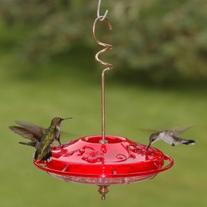 Tray Style Hummingbird Feeder