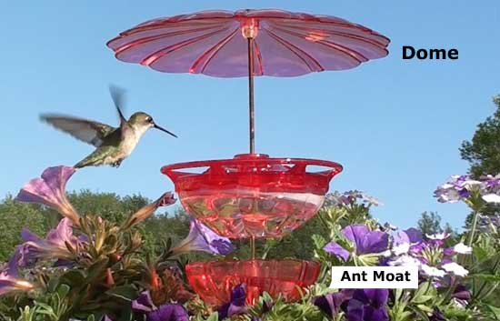 Humm Blossom Accessory Kit with Staked Feeder