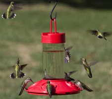 Porcelain Bird Feeder