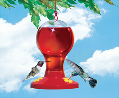 Basic Hummingbird Feeder without a perch