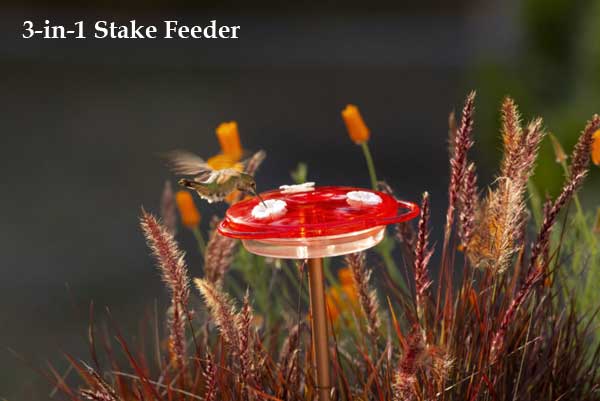 3-in-1 Stake Hummingbird Feeder