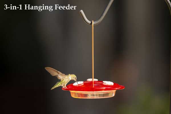 3-in-1 Hanging Hummingbird Feeder