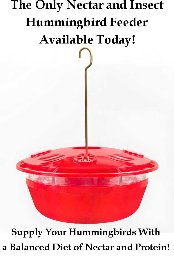 Red Humm-Yumm Nectar and Protein Hummingbird Feeder