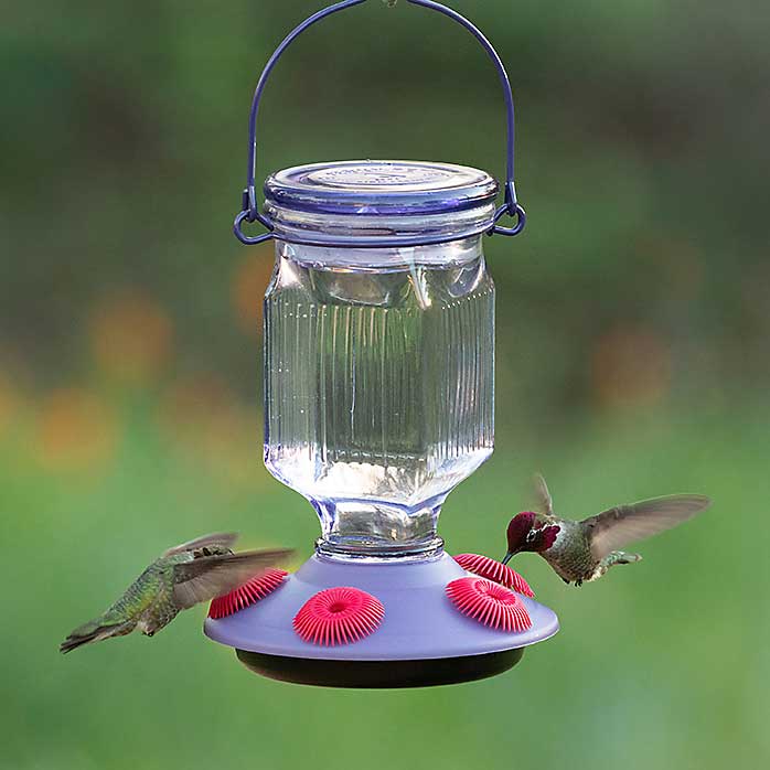 Lavender Field Top Fill Hummingbird Feeder