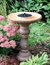 Birdbaths