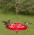 Tray Hummingbird Feeder