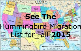 Link to the List of Hummingbird Fall Migration 2015 Sightings