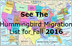 Link to the List of Hummingbird Fall Migration 2015 Sightings