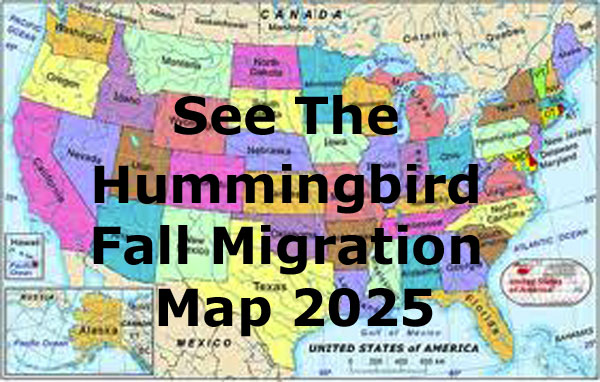 Hummingbird Fall Migration Map 2025