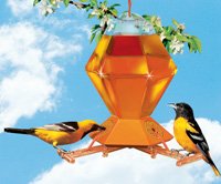 Oriole Feeder