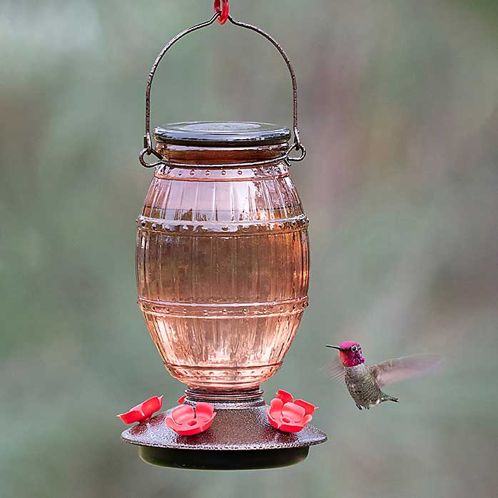 Prohibition Top Fill Hummingbird Feeder