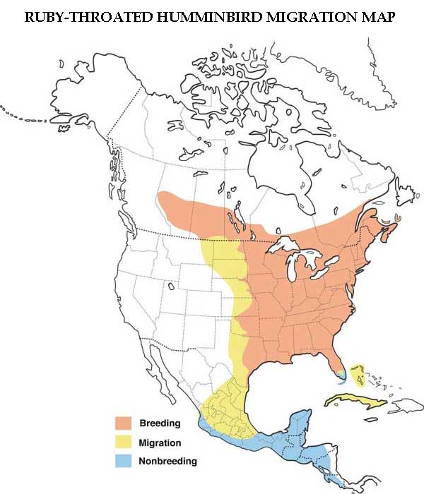 Ruby-throated Hummingbird Migration Map
