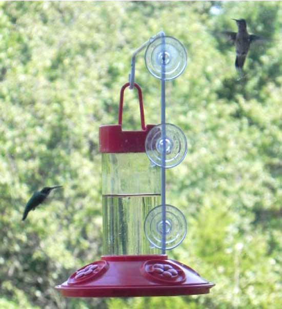 Dr JBs Red Window Hummingbird Feeder