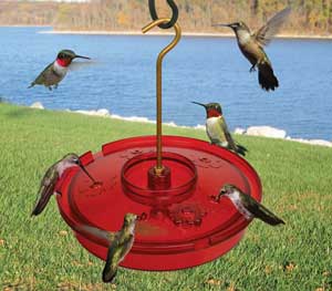 Hummingbird Haven Tray Feeder