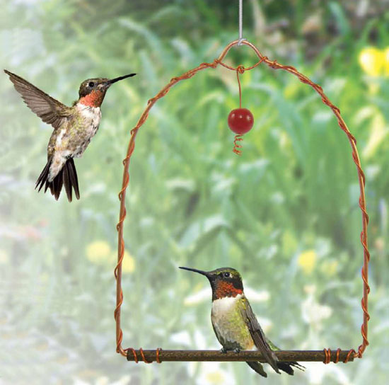 Copper Hummingbird Swing