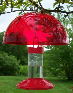 Hummingbird Accessories-Feeder Shade Helmet