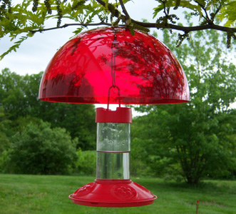 Hummingbird Feeder Shade Cap