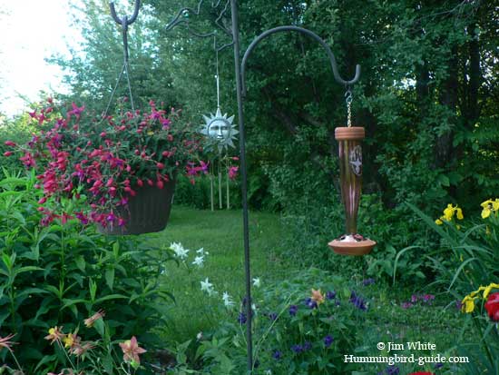 Schrodt Etched Hummingbird Feeder in our Perennial Garden