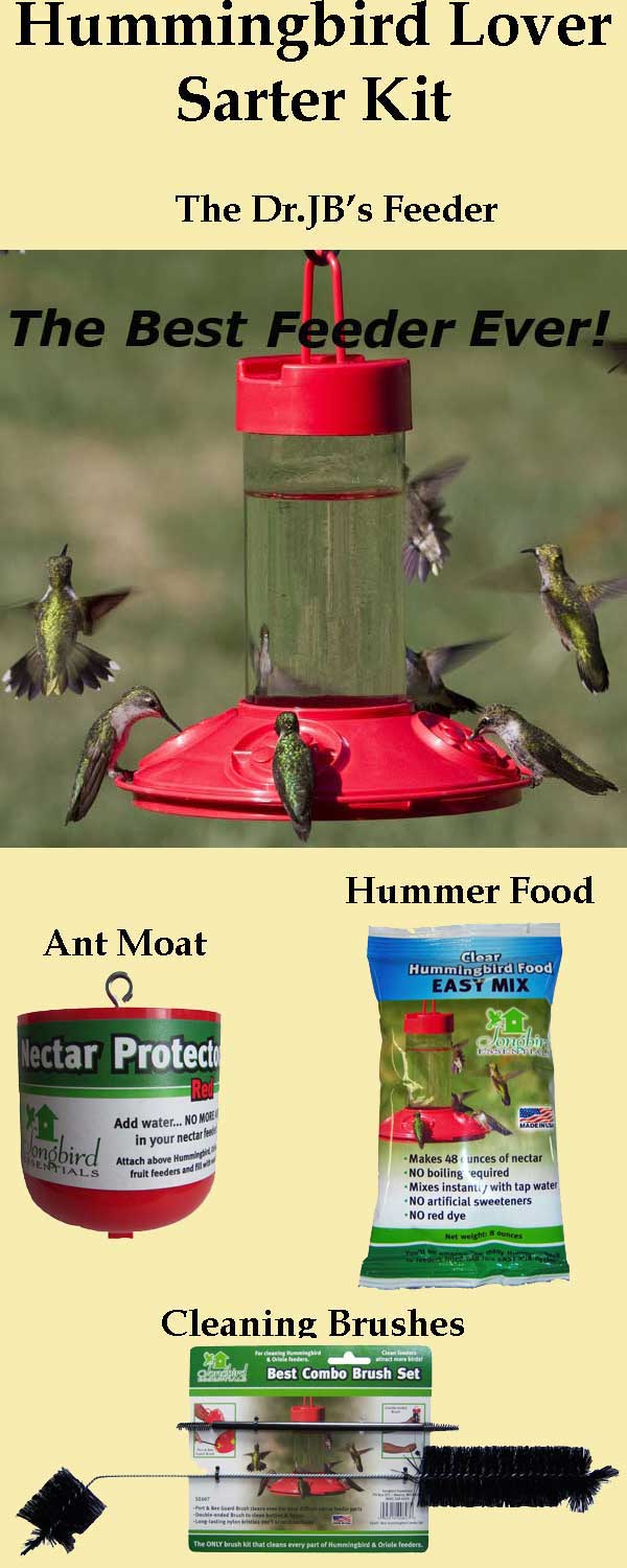 Hummingbird Lover Starter Kit