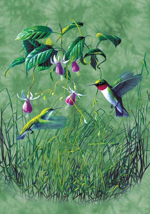 "HUMMINGBIRDS & FUCHSIA" Edition Blank Greeting Cards.